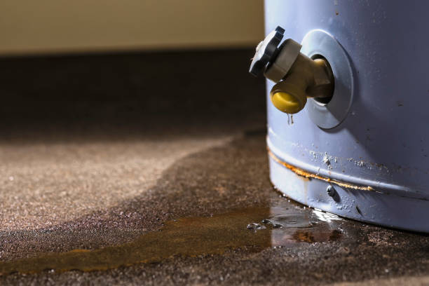 Best Water damage restoration near me  in Montpelier, VT