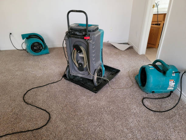 Best Fire Damage Restoration  in Montpelier, VT