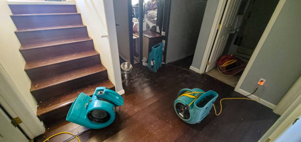 Best Basement water damage restoration  in Montpelier, VT