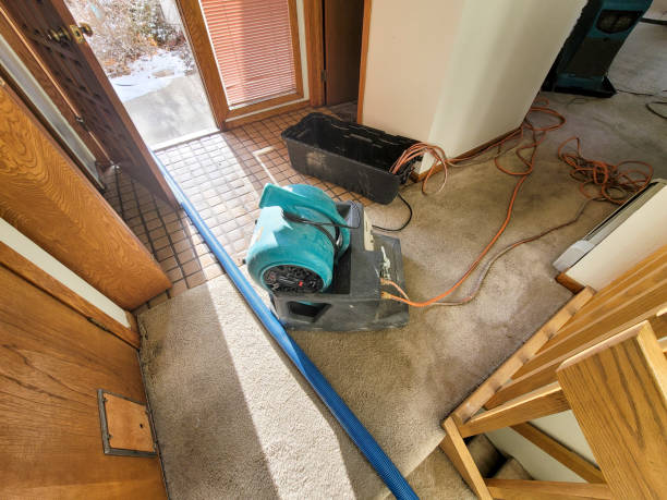 Best Water damage cleanup near me  in Montpelier, VT