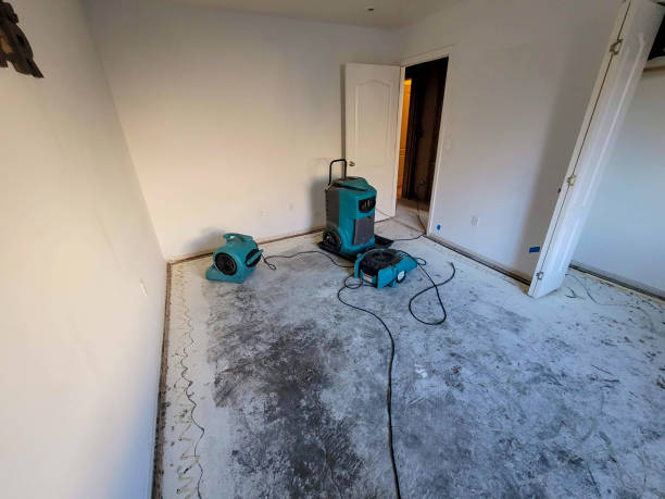 Best Water damage restoration near me  in Montpelier, VT