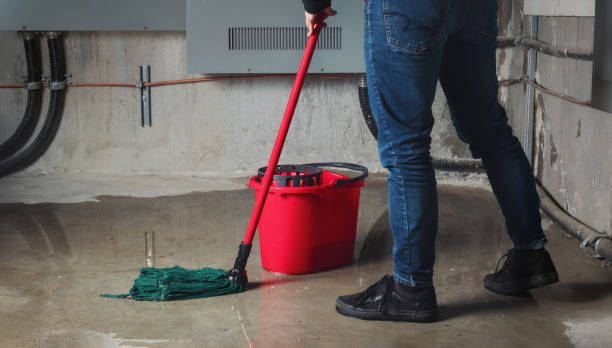 Best Water damage restoration near me  in Montpelier, VT