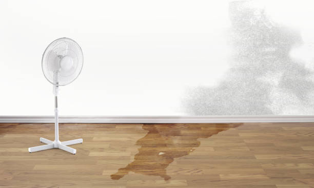 Best Residential water damage restoration  in Montpelier, VT