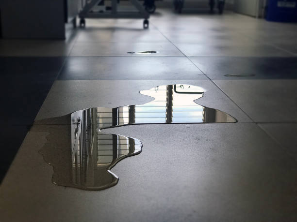 Best Water damage restoration services  in Montpelier, VT
