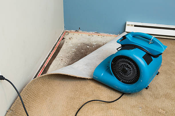  Montpelier, VT Water damage restoration Pros